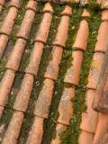 IMG-20250630-WA0005
